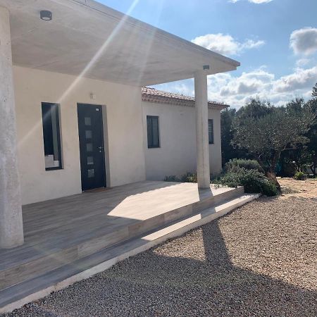 Magnifique Villa Classee 4* Meuble De Tourisme Flassans-sur-Issole Bagian luar foto