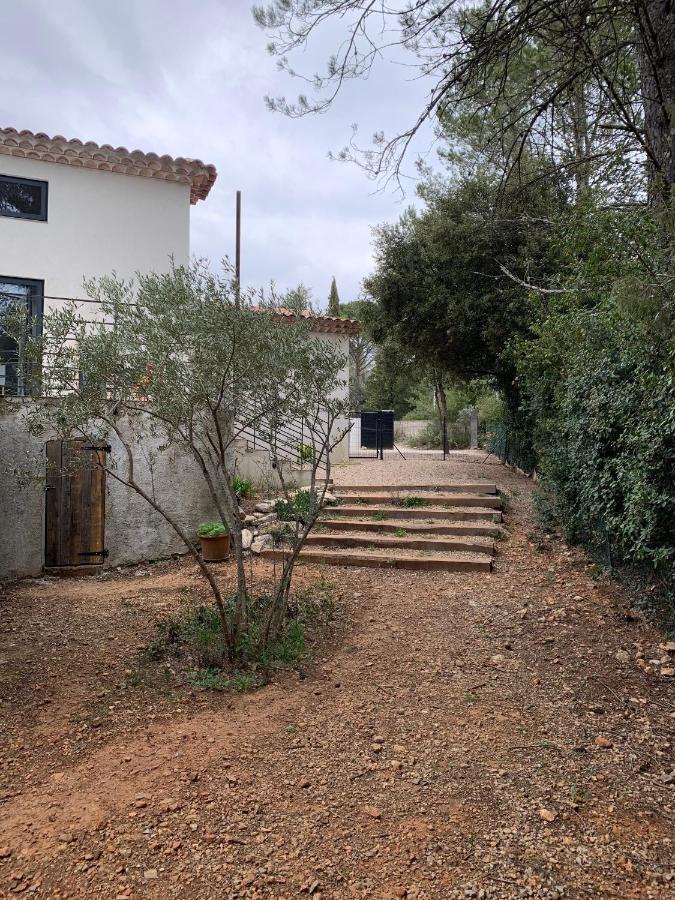 Magnifique Villa Classee 4* Meuble De Tourisme Flassans-sur-Issole Bagian luar foto